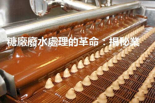 糖廠廢水處理的革命：揭秘業(yè)內(nèi)獨特技術(shù)和方法！